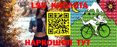 крисы Абинск
