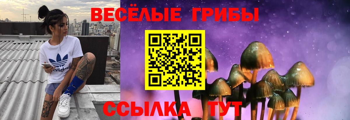 Галлюциногенные грибы мухоморы Абинск